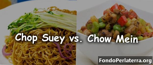 Chop Suey contro Chow Mein