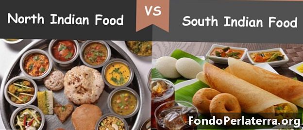 Menjar de l'Índia del Nord contra el menjar de l'Índia del Sud