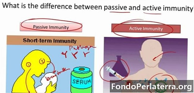 Immunità attiva vs. immunità passiva