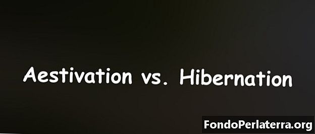 Aestivation vs. Hibernation