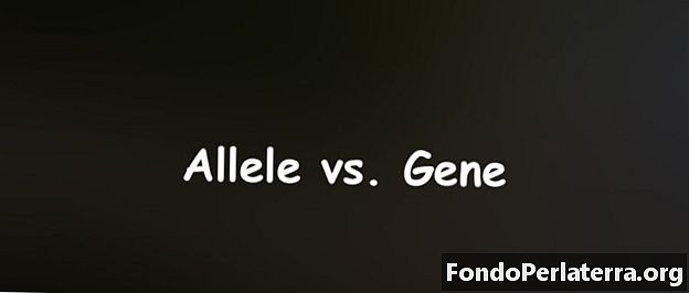 Alleeli vs. geeni