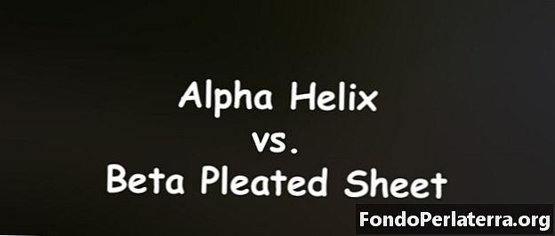 Alpha Helix vs beeta plisseeritud leht