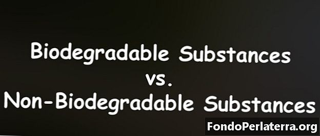 Substancje biodegradowalne vs. substancje niebiodegradowalne