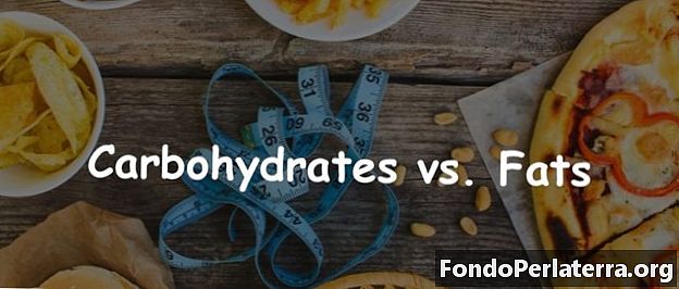 Karbohydrater vs. fett