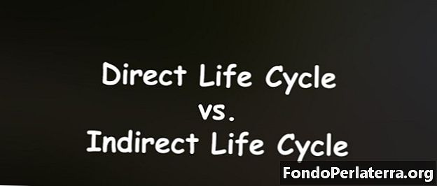 Cicle de vida directe vs. cicle de vida indirecte