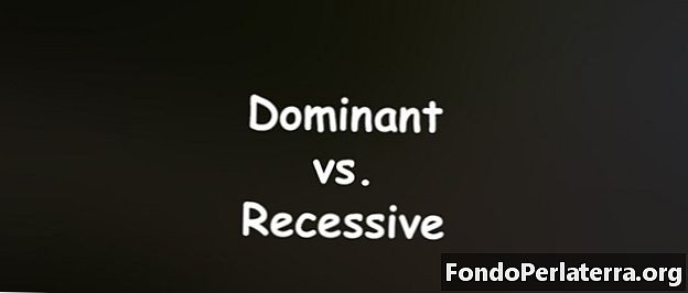 Dominant vs. recessive