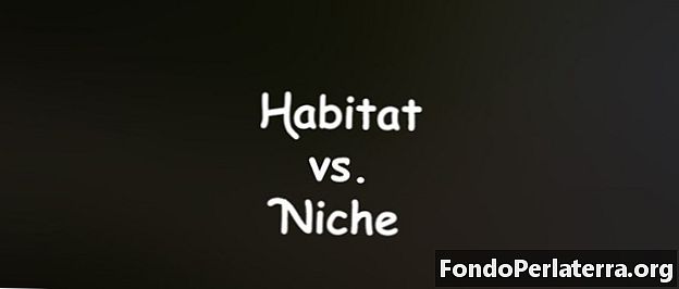 Habitat versus niche