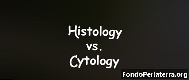 Histologia vs. citologia