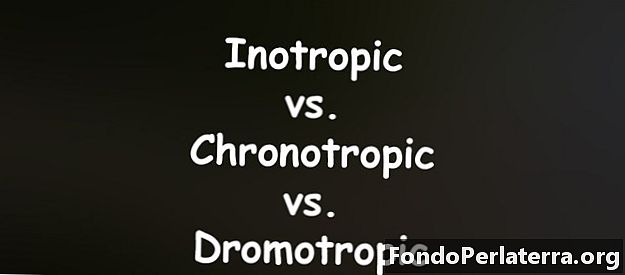 Inotropic pret hronotropic pret Dromotropic