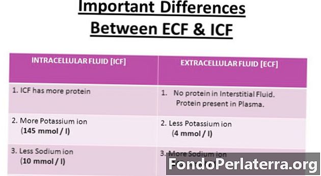 Fluids intracel·lulars vs. líquids extracel·lulars