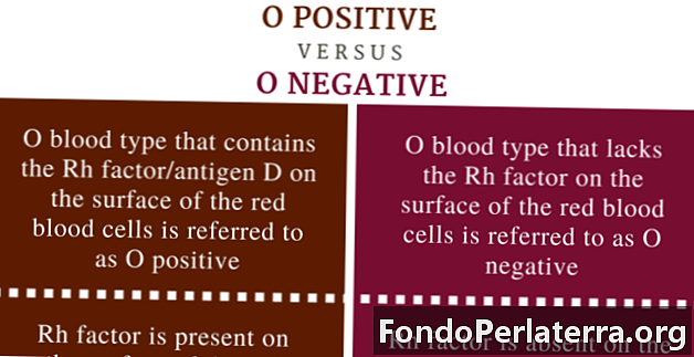 O Positive vs. O Negative