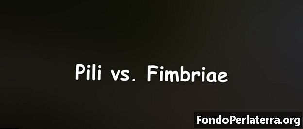 Pili vs. Fimbria