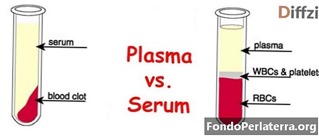 Plasma vs. seerumi