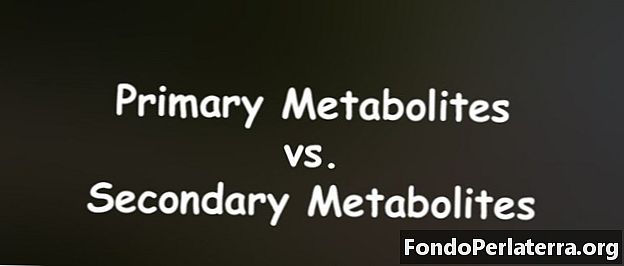 Първични метаболити срещу вторични метаболити
