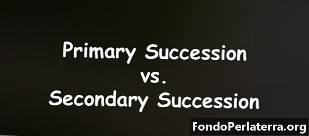 Primær succession vs. Secondary Succession