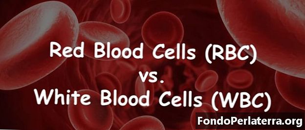 Glóbulos vermelhos (RBC) vs. glóbulos brancos (WBC)