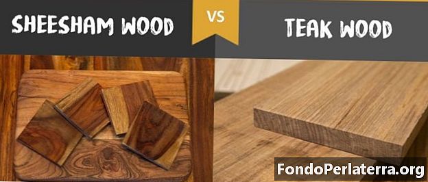 Wood Sheesham vs Teak Wood