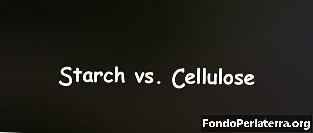 Stivelse vs. cellulose