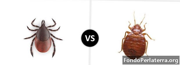 Ticks vs Bugs Bed