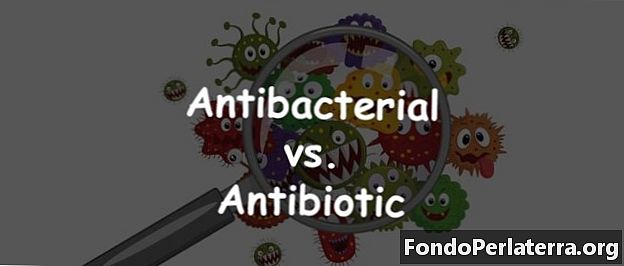 Antibacteriano versus antibiótico