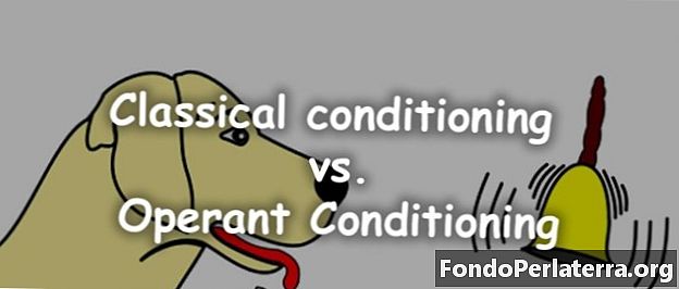 Klassisk konditionering vs. operatørkonditionering