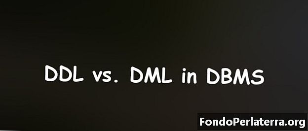 DDL vs. DML v DBMS