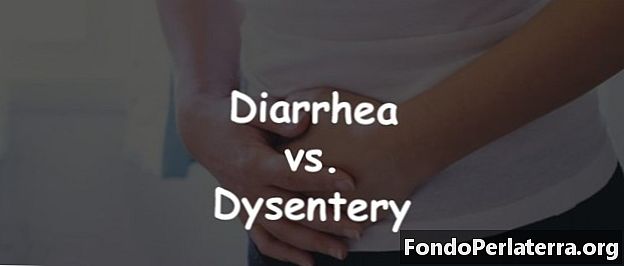 Diaree vs. dizenterie