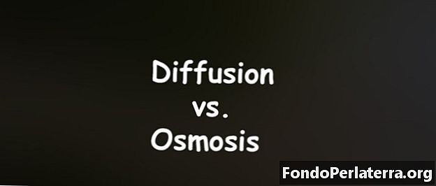 Diffusjon vs. osmose