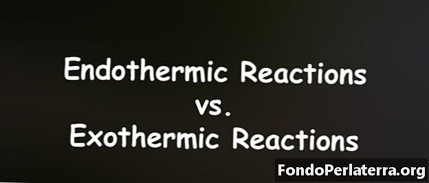 Endotermične reakcije proti eksotermnim reakcijam