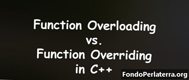 Funktion Overbelastning vs. Overriding i C ++