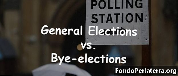 الانتخابات العامة مقابل الانتخابات