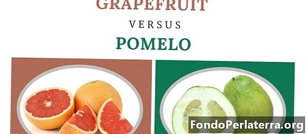 Грейпфрут проти Помело