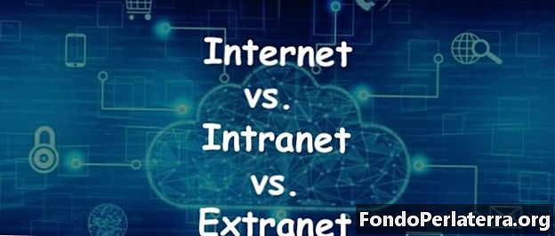 Internet x Intranet x Extranet