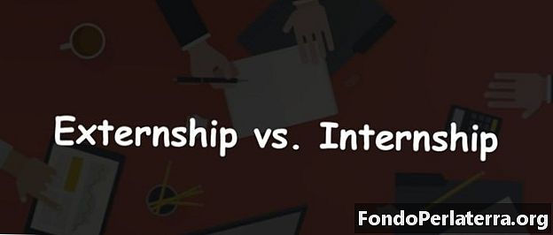 Internship vs. Externship