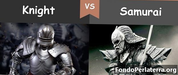Knight vs. Samurai