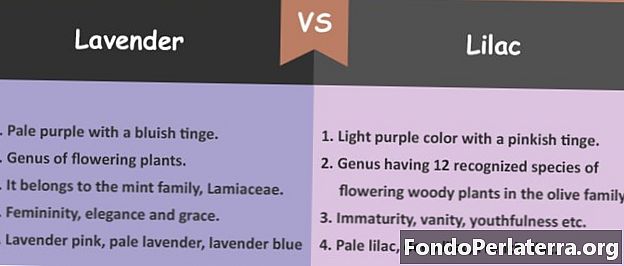 Levandule vs. Lilac