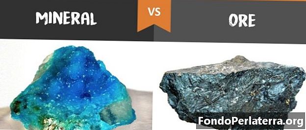 Mineral vs. minereu