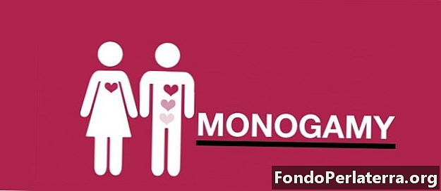Monogami vs. polygami