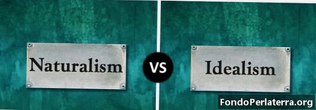Naturalism vs. idealism