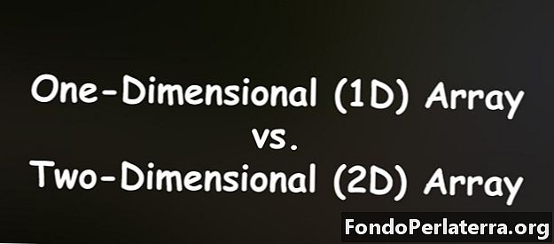 Vienos dimensijos (1D) masyvas ir dviejų dimensijų (2D) masyvas