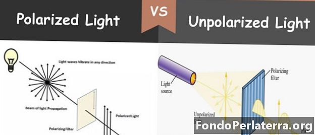 Polarizované svetlo vs. nepolárne svetlo
