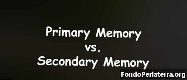 זיכרון ראשוני לעומת זיכרון משני