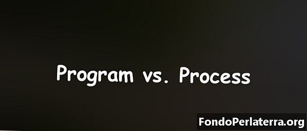 Program vs. proces