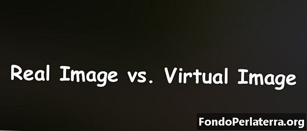 Immagine reale vs. immagine virtuale