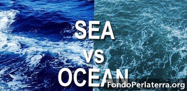 Mar vs. Océano