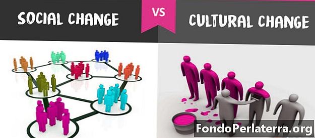 Социальные изменения против культурных изменений