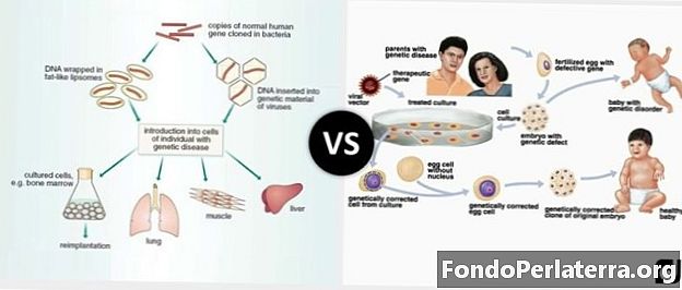 Somatyczna terapia genowa vs. terapia genowa Germline
