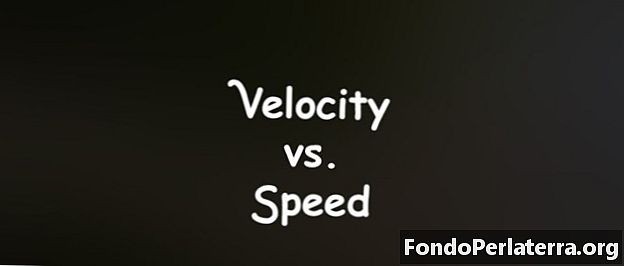 Velocità vs. Velocità