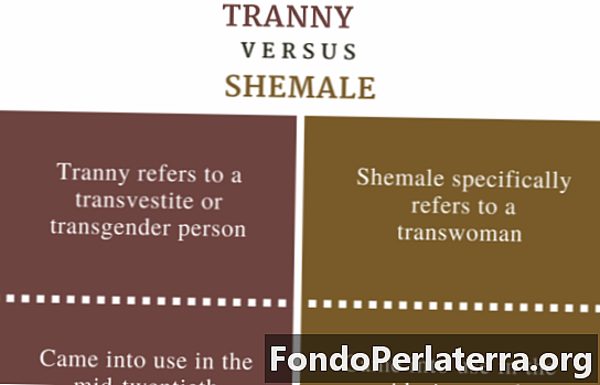 Tranny vs. Shemale