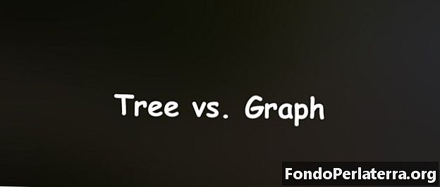 Puu vs. kaavio